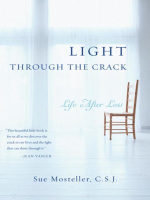 cover image of Light Through the Crack